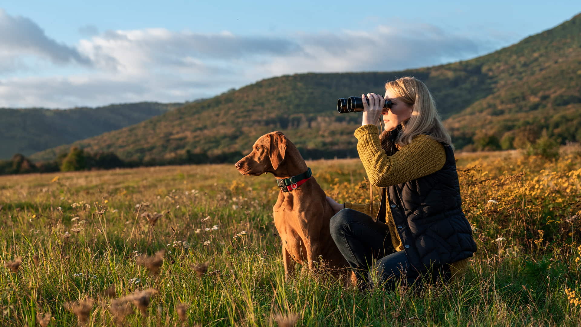 Sicher unterwegs im Revier - KAWU für Jagdhunde