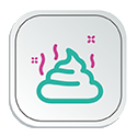 Icon Kosten
